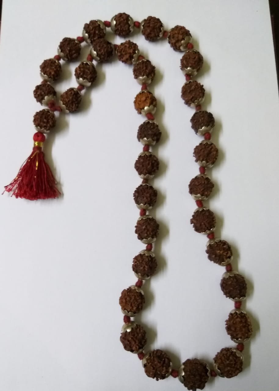 1-Mukhi Rudraksha Pendant